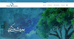 Desktop Screenshot of pil.com.pk